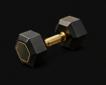 Gym Icon